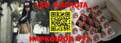 индика Дубна