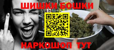 индика Дубна