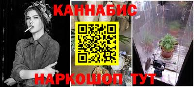 индика Дубна