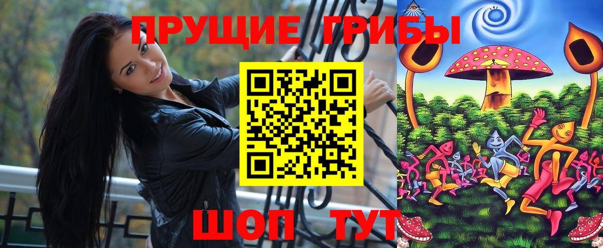 Мурманск  Псилоцибиновые грибы мухоморы  купить закладку  Вход с VPN  Псилоцибиновые грибы Cubensis 